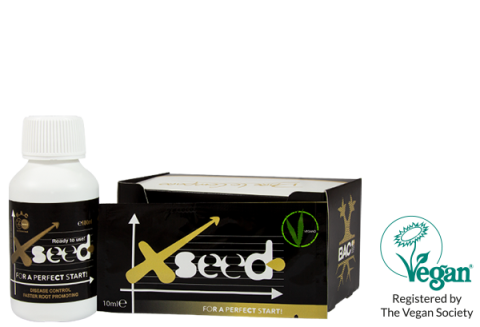 X seed
